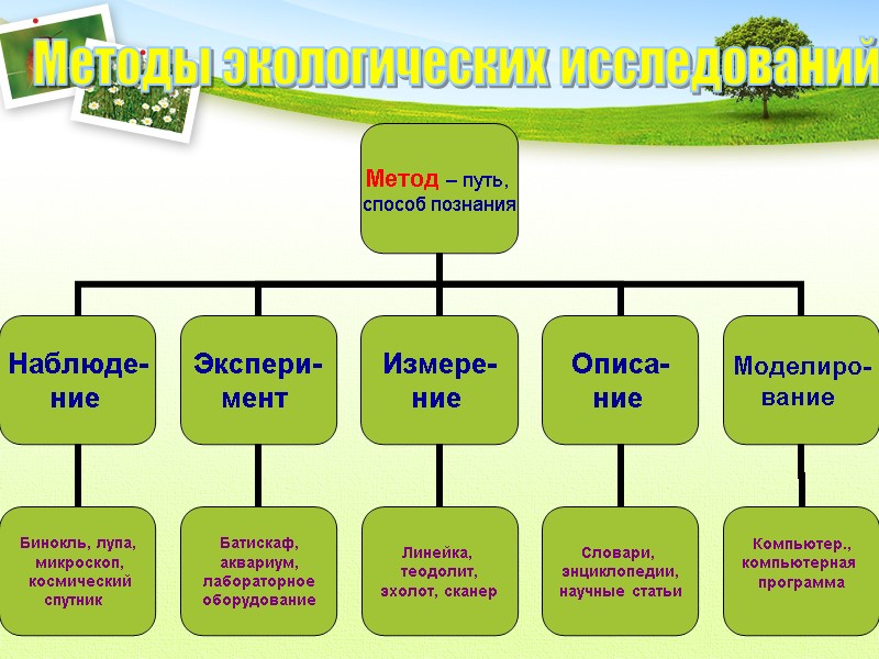 Методы экологических исследований